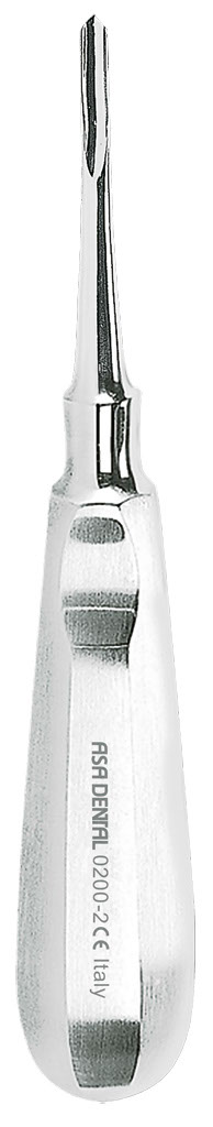 1254652.jpg