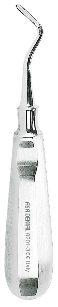 1254655.jpg