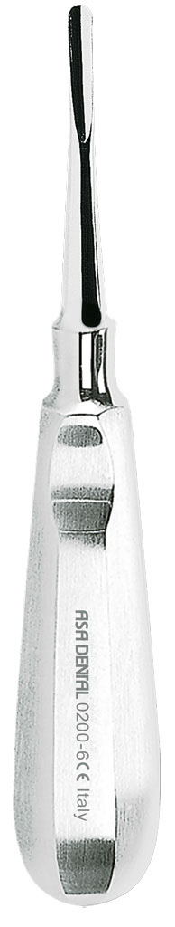 1254658.jpg