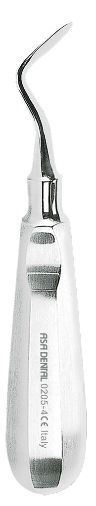 1254682.jpg