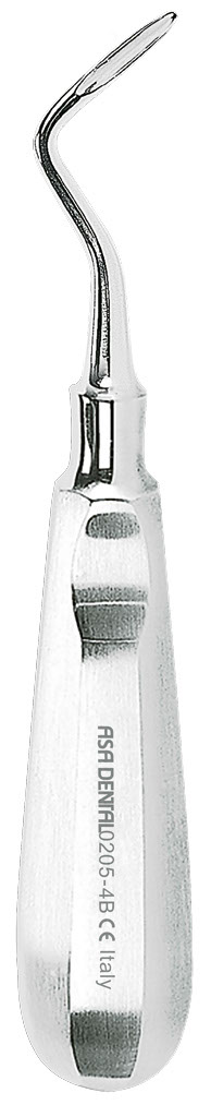 1254702.jpg