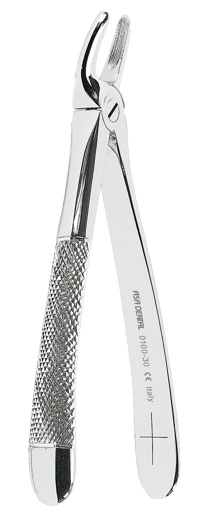 1255596.jpg