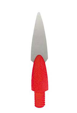 1256141.jpg
