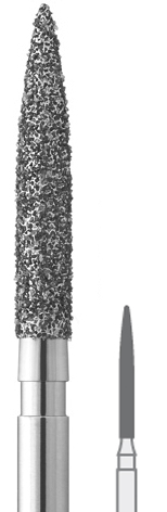 20329005.jpg