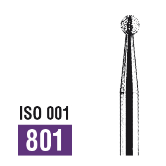 24449002.jpg