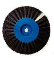 4617404.jpg