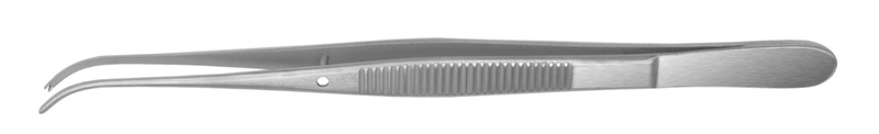 4770076.jpg