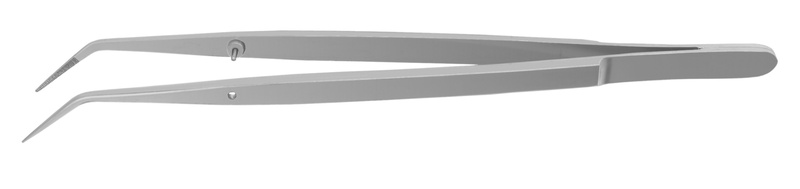 4770157.jpg