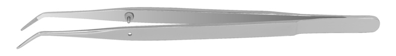 4770158.jpg