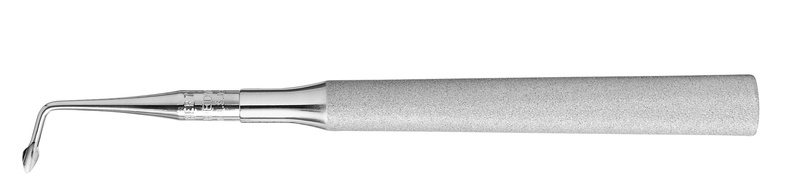 4770532.jpg
