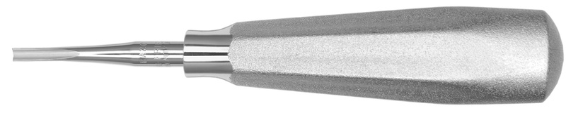4771802.jpg