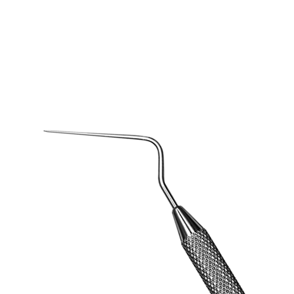 4775104.jpg