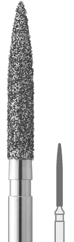 5001550.jpg