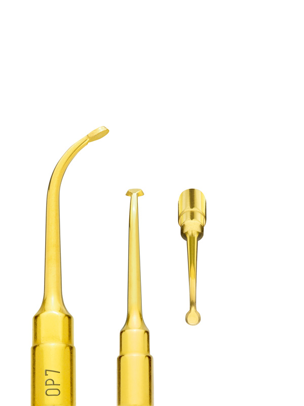 5912061.jpg