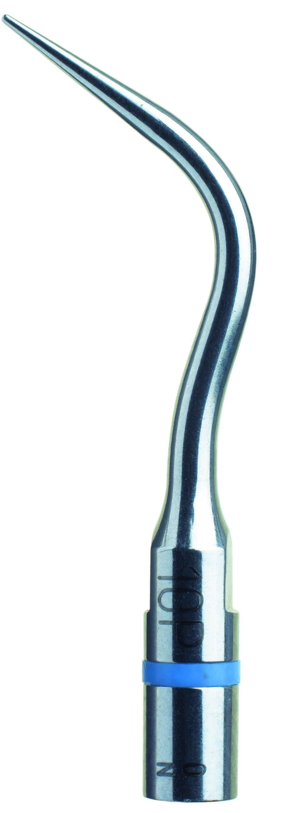 8190457.jpg