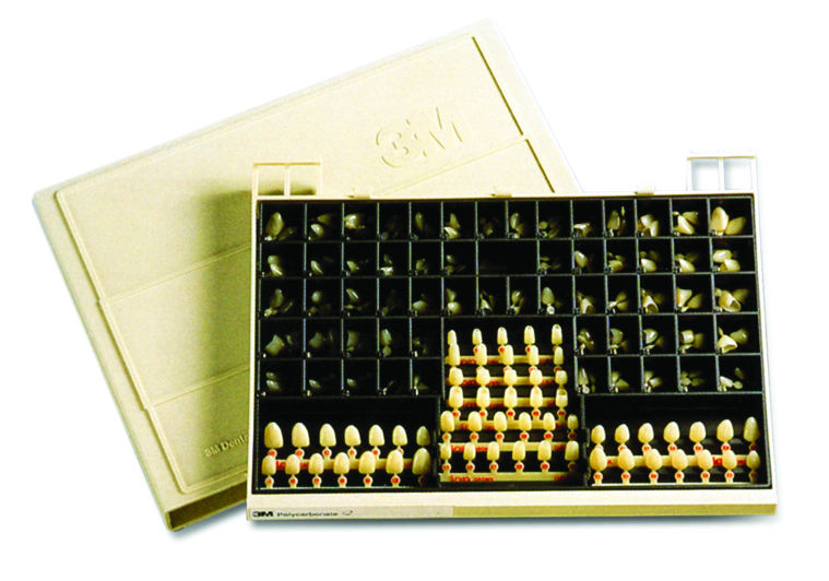 8611105.jpg