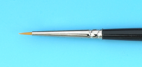 8800119.jpg